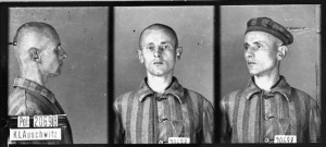 homosexuals in the 3rd Reich