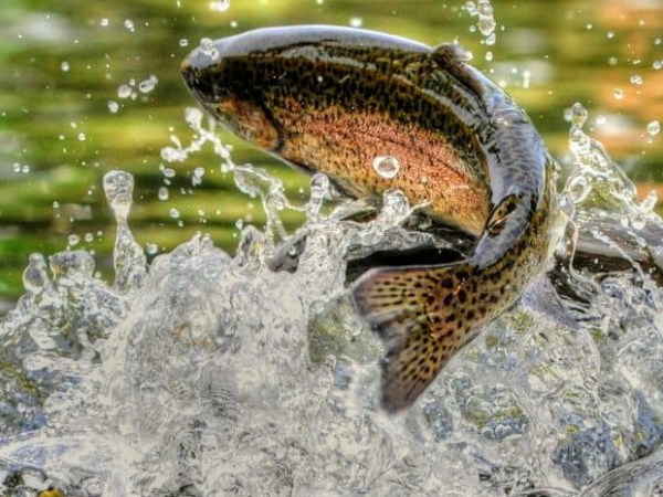 Ezekiel was weird, but he wasn’t&nbsp;wrong